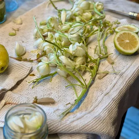 Place In Paradise Appartement Castelbuono (Sicily)