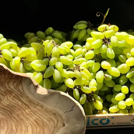 Appartement Place In Paradise Castelbuono (Sicily)