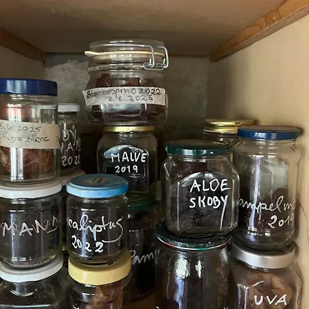 Place In Paradise Appartement Castelbuono (Sicily)