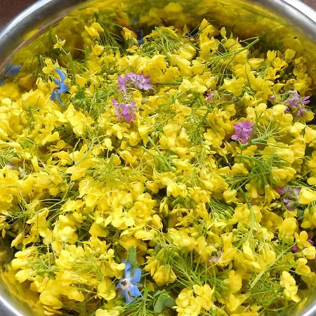 Appartement Place In Paradise