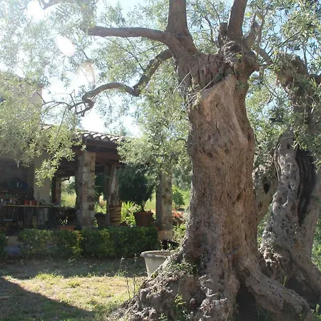 Place In Paradise Castelbuono (Sicily)