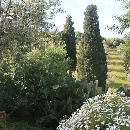 Place In Paradise Castelbuono (Sicily)
