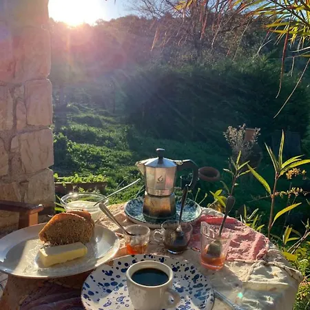 Appartement Place In Paradise